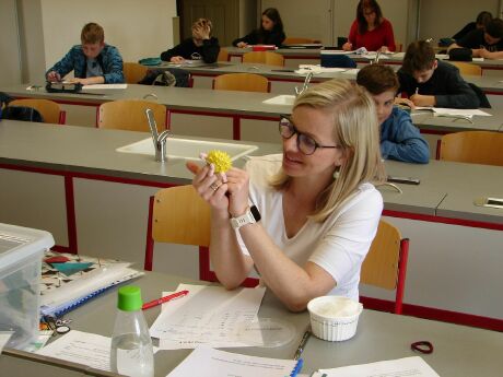 Obrázek v galerii
