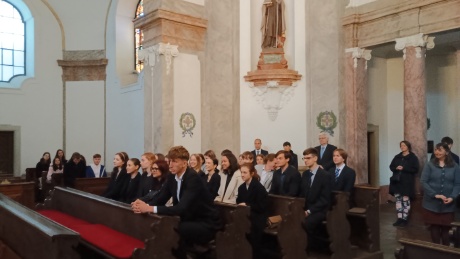 Obrázek v galerii