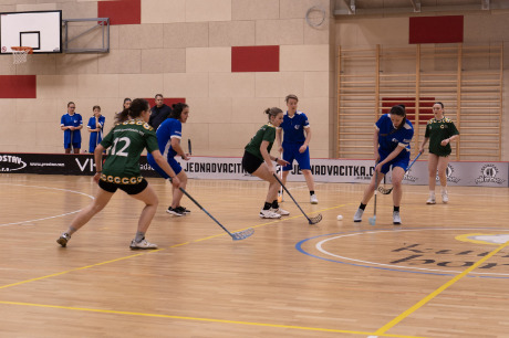 Obrázek v galerii